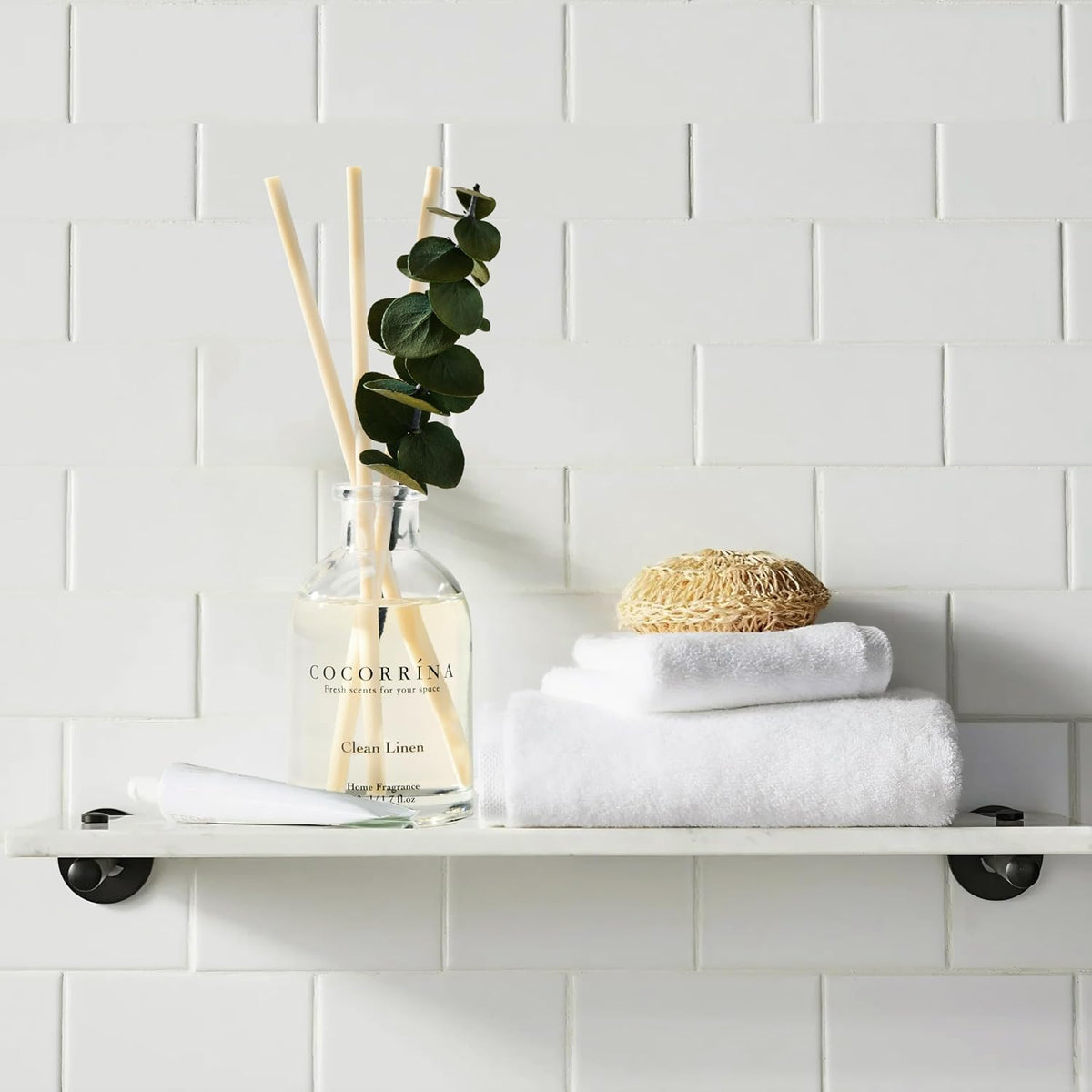 COCORRÍNA Reed Diffuser Set of 3 with Dried Eucalyptus for Home & Office