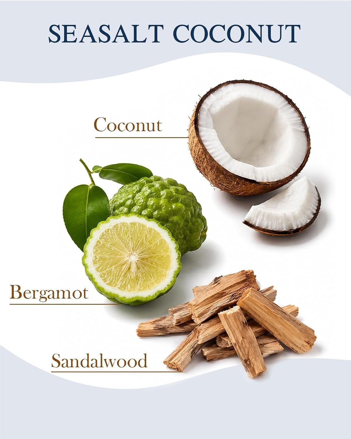 M&SENSE Reed Diffuser Set, Sea Salt Coconut, 7.7 oz Natural Essential Oil