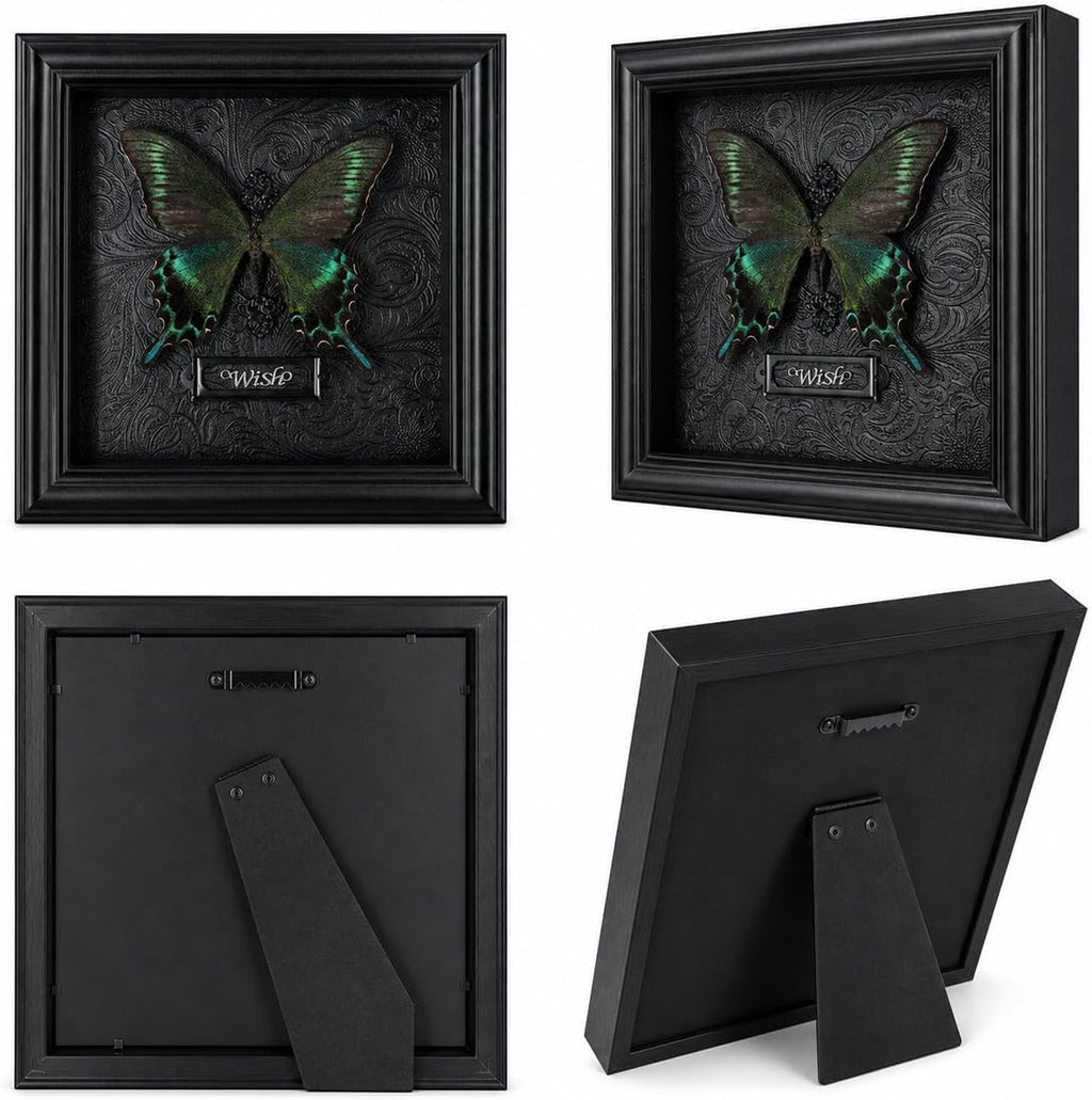 Real Handmade Taxidermy Butterfly Framed Gothic Baroque Art Home Decor