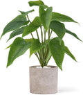 Mkono Fake Plants in Pot, 11" Potted Artificial Plants Home Decor Indoor