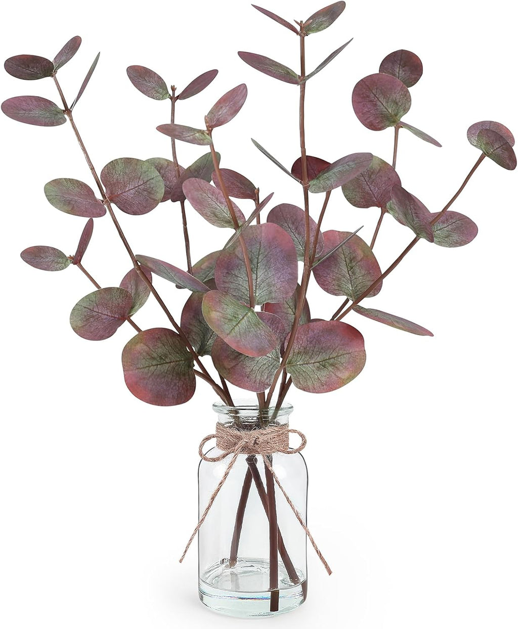 Bessol Artificial Eucalyptus Stems in Glass Vase with Faux Water, Fake Plants for Home Decor, Coffee Table Centerpieces, Office, Bathroom & Farmhouse - Red Faux Plants Decorations