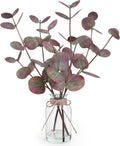Bessol Artificial Eucalyptus Stems in Glass Vase with Faux Water, Fake Plants for Home Decor, Coffee Table Centerpieces, Office, Bathroom & Farmhouse - Red Faux Plants Decorations