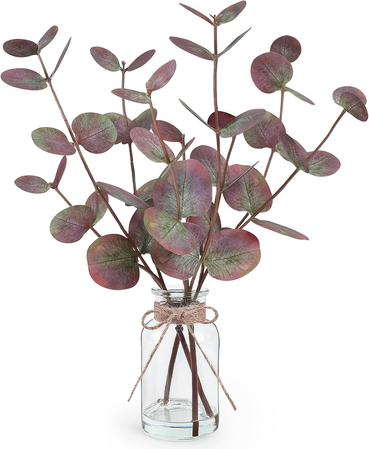 Bessol Artificial Eucalyptus Stems in Glass Vase with Faux Water, Fake Plants for Home Decor, Coffee Table Centerpieces, Office, Bathroom & Farmhouse - Red Faux Plants Decorations