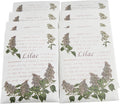 Scented Sachet for Drawers and Closets,Lot of 8 (Lilac)