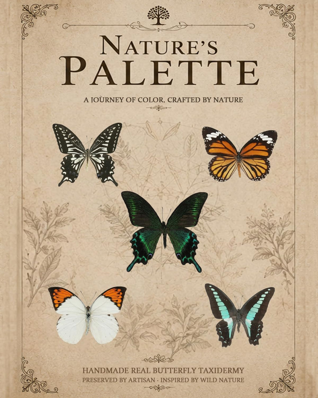 Nature's Palette 5 Real Butterfly Taxidermy Shadow Box Gift Set (10x13.4")