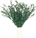 7-12 Pcs Preserved Eucalyptus Stems, 14-17" Greenery Leaves for Vase Filler