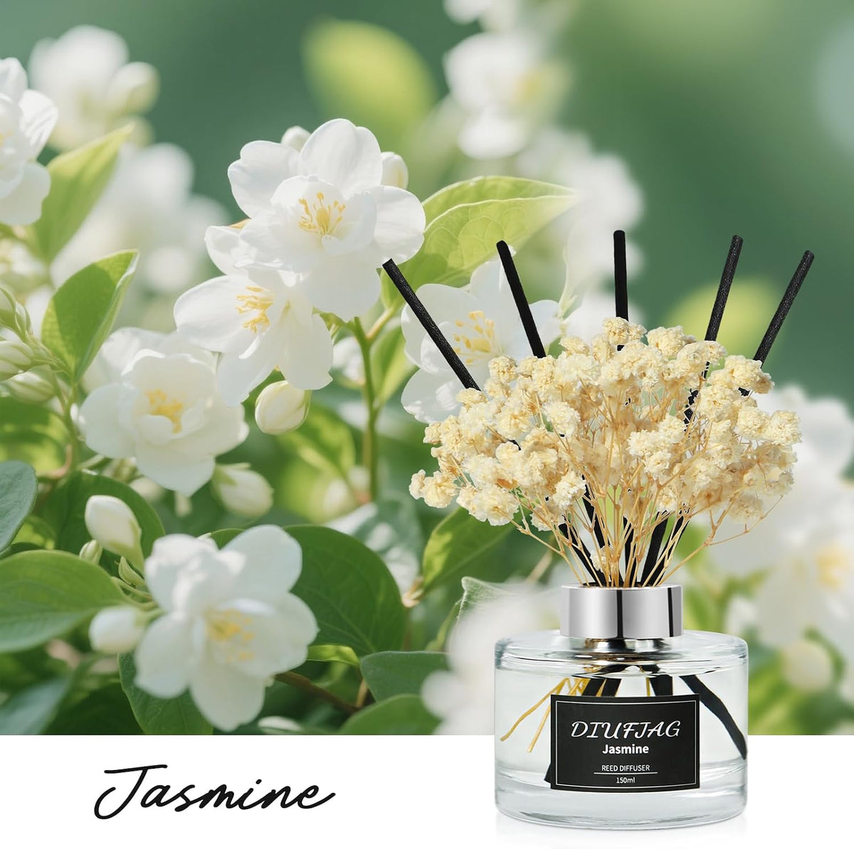 White Jasmine Reed Diffuser Set, 5.07 fl oz Scented Oil Diffuser