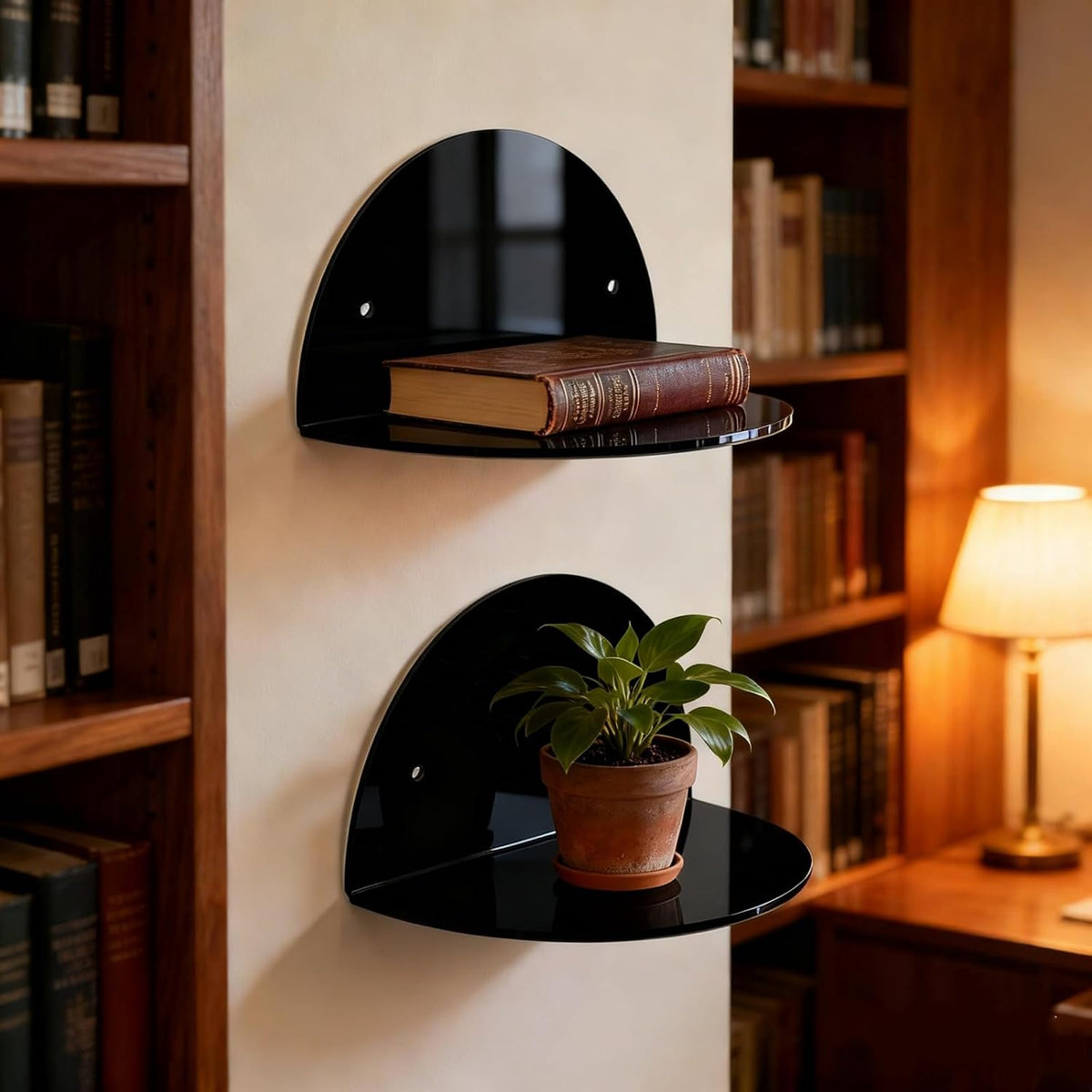 ROYALITA 2-Pack Small Acrylic Shelves Room Decor Floating Shelves, Black