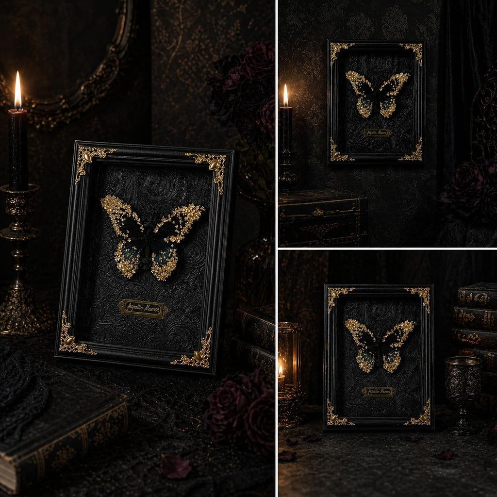 Real Handmade Taxidermy Butterfly Framed Handcrafted Art Processing