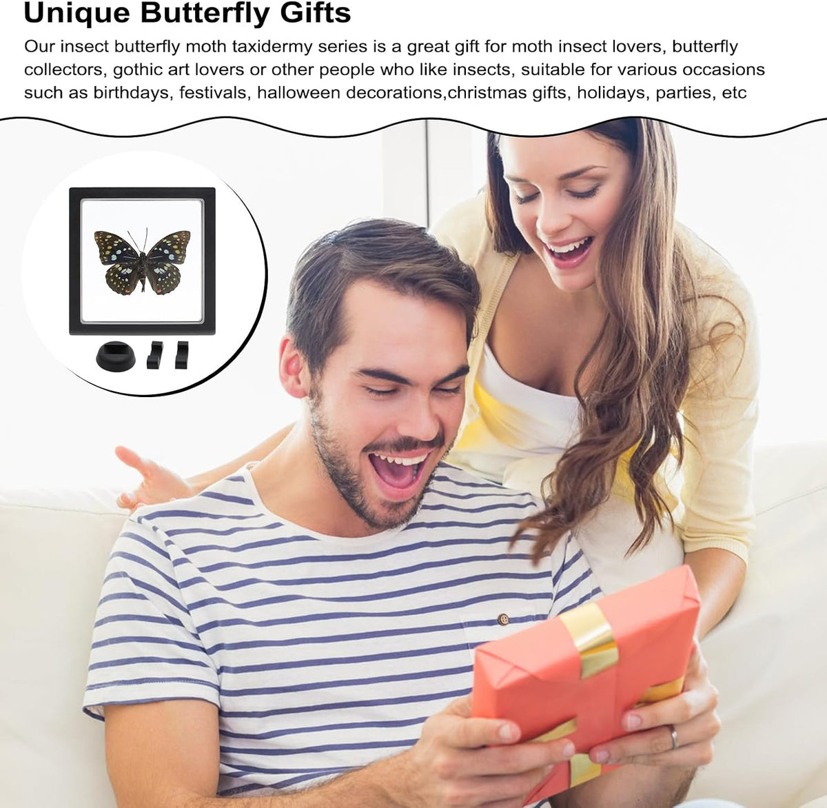 Sasakia charonda Butterfly Framed Decoration - Handmade Taxidermy Butterfly Shadow Box Collection, Framed Butterfly Taxidermy for Gothic Home Decor