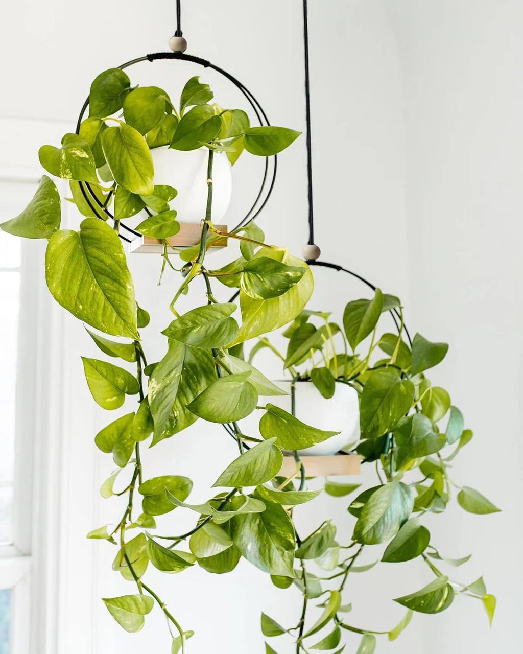 Plant Hangers Indoor with Wood Base -2 Pack Boho Macrame Hanging Plant Holder for Indoor Plants Hanging Planter for Wall/Window/Room Decor Black (Pot & Plant Not Included)