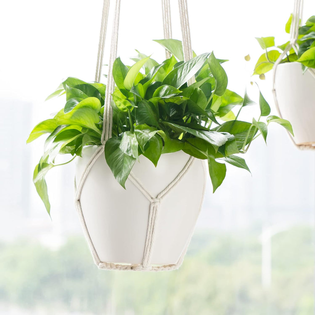 Dahey Macrame Plant Hanger Indoor 43 Inches Hanging Plant Holder Basket