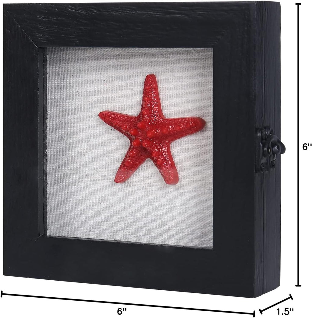 6x6 Small Shadow Box Frame with Glass, Hinged Door, Solid Wood, Black
