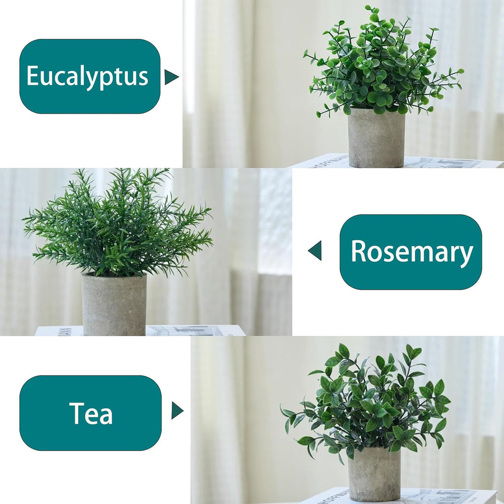 3 Pack Small Potted Fake Plants for Desk Shelf Bedroom Decor