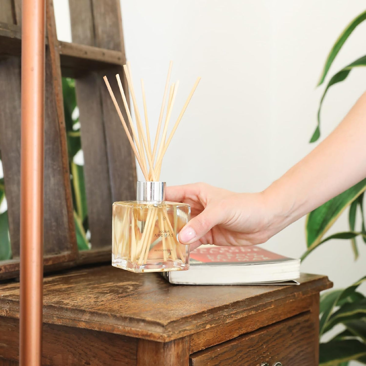Doctor Aromas Premium Reed Diffuser Diffuser Glass Jar Set Elegant Scent for Home, Room or Bathroom and Fresh Air Scent Lasting Home Fragrance Over 90 Days (Pack of 1, Success)