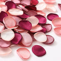 Serwalin 300pcs Silk Rose Petals Burgundy Pink Flower Petals for Wedding