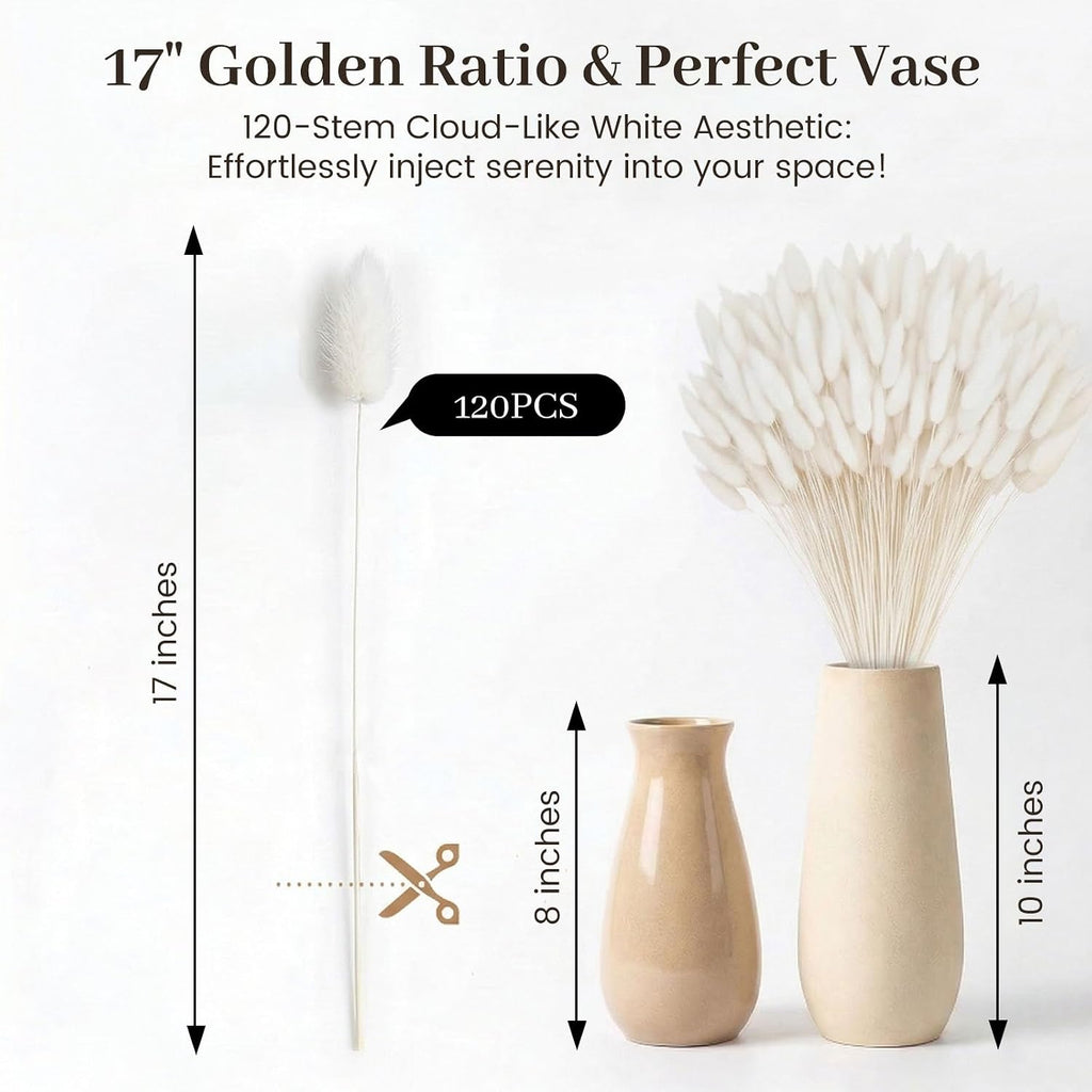 JOHOUSE 120PCS Dried Pampas Grass Decor, 17 Inch White Bunny Tails