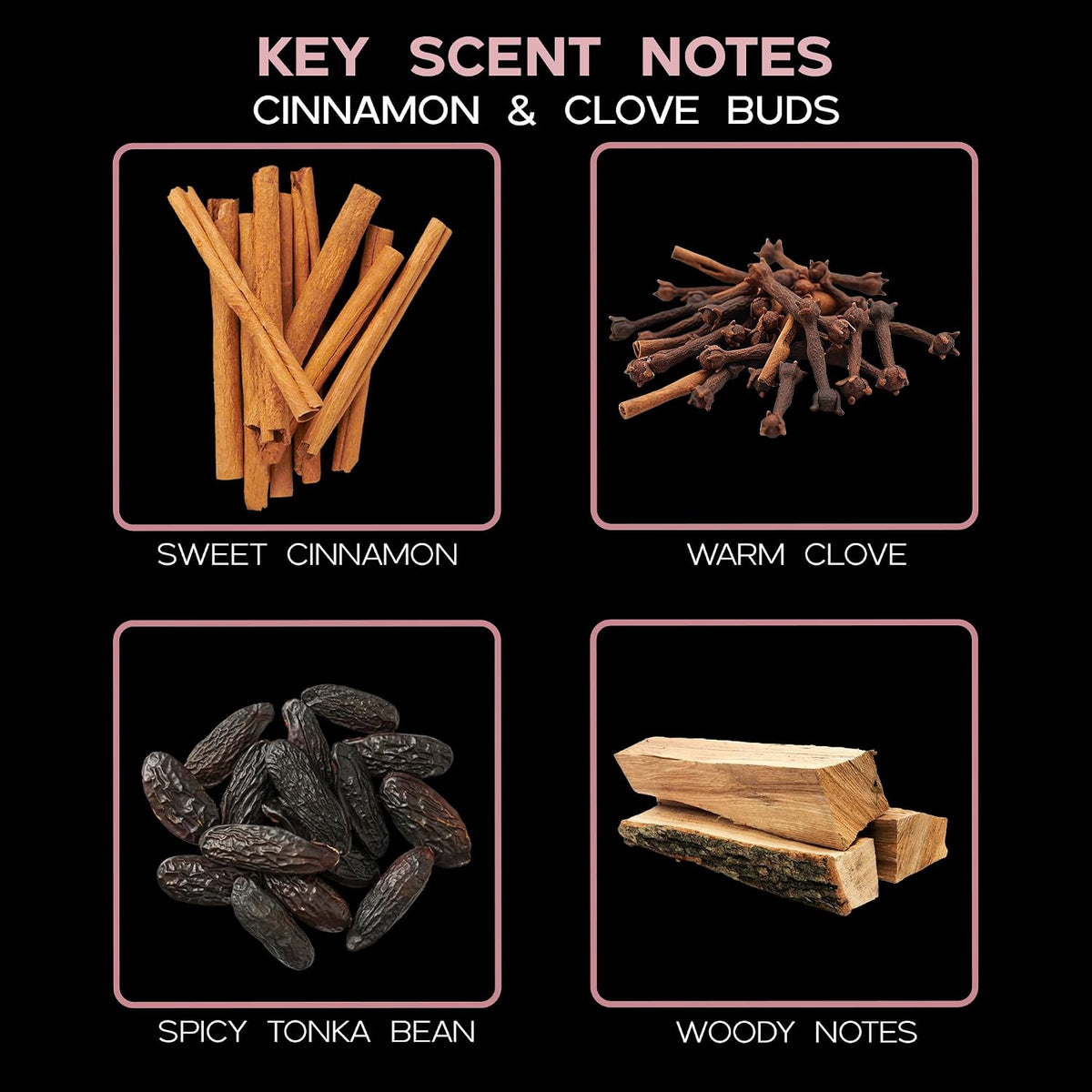 Reed Diffuser Set - Cinnamon & Clove Buds Scented Diffuser with Sticks