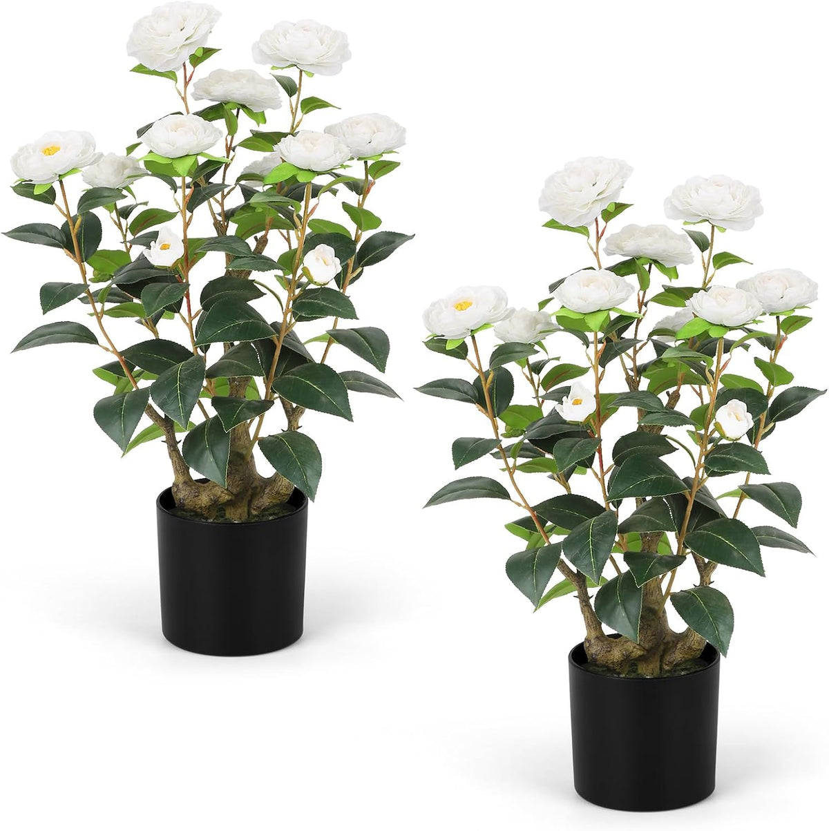 Romantic Season 2FT White Artificial Camellia Tree 2Pack, Faux Camellia Plant Fake Potted Camellia Flower Tree Plastic Camellia Tree for Modern Home Office Living Room Floor Décor