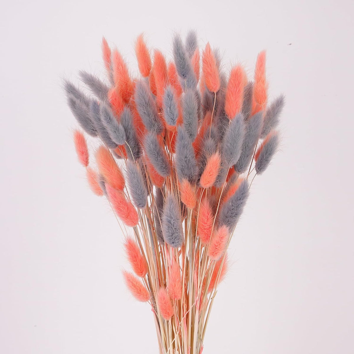 100 Pcs Pink and Grey Bunny Tails Dried Flowers