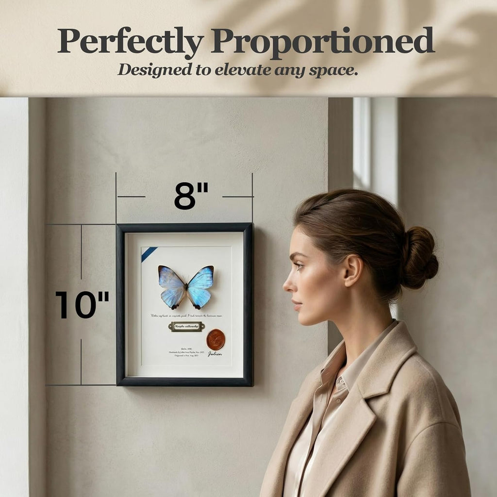 ArsVenciik Real Pearl Morpho Butterfly Taxidermy