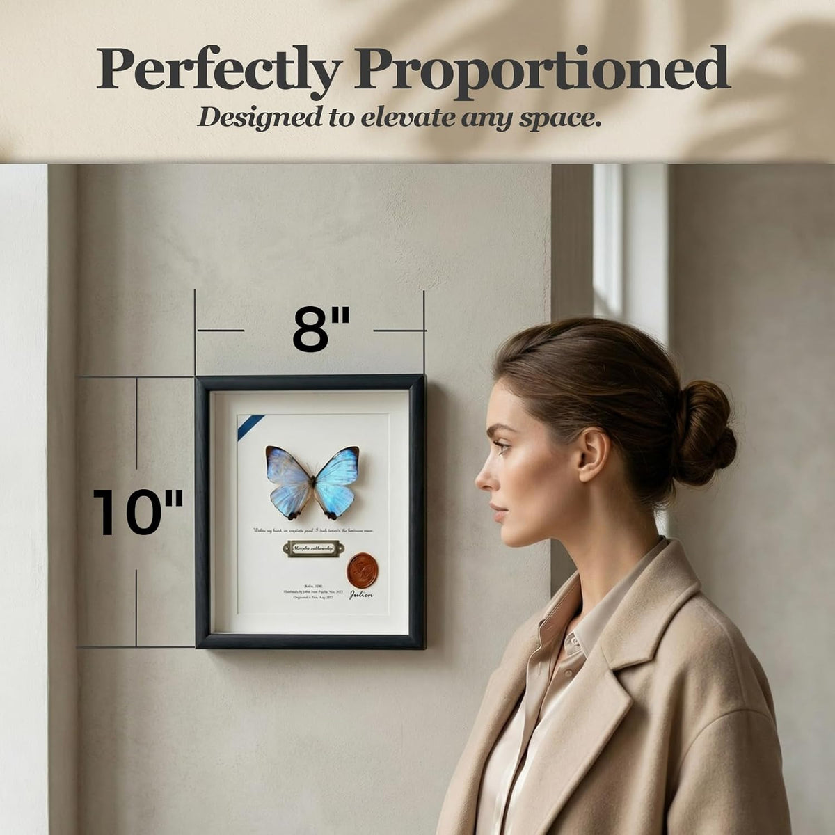 ArsVenciik Real Pearl Morpho Butterfly Taxidermy