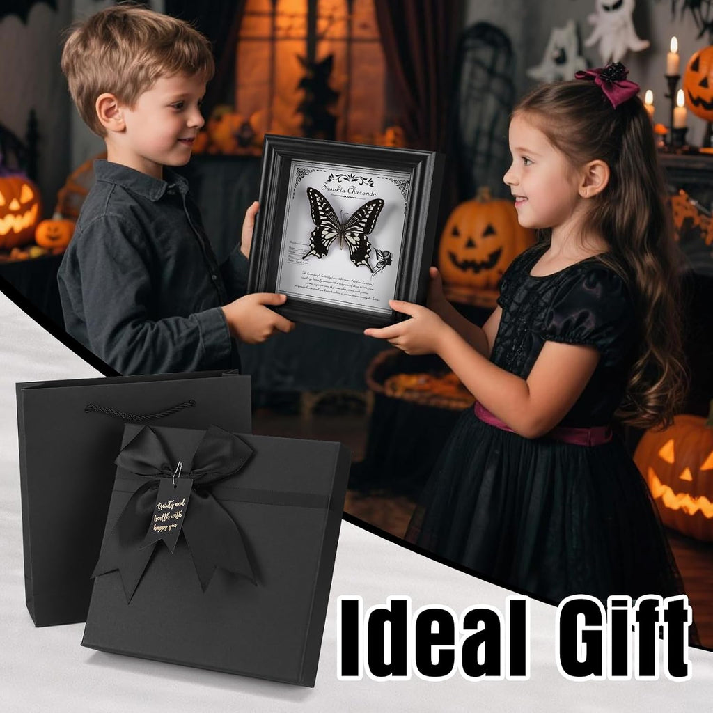 Real Butterfly in Frame - Stunning Taxidermy Butterfly Display - Premium Butterfly Shadow Box with Authentic Specimen (G-Citrus Swallowtail Butterfly)