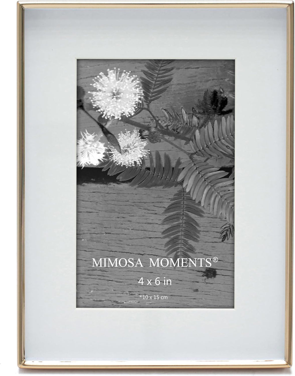 6x8 Brass Shadow Box Metal Picture Frame with 4x6 Photo Mat
