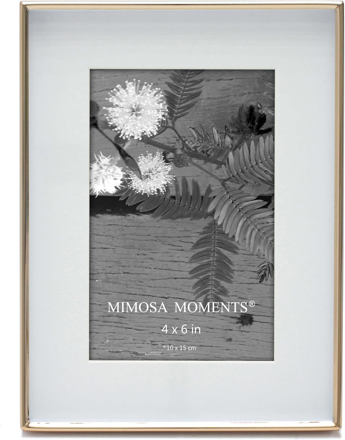 6x8 Brass Shadow Box Metal Picture Frame with 4x6 Photo Mat