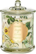 M&SENSE Sage Citrus Non Toxic Large Soy Candle, 12.7oz Aromatherapy Scent