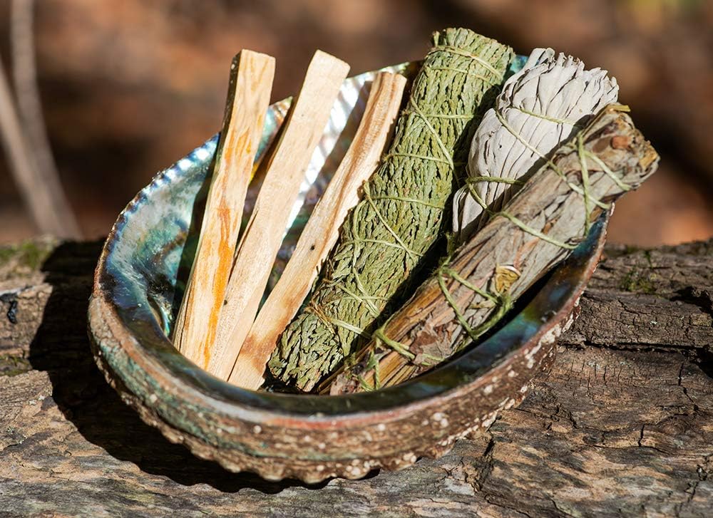 Abalone Shell Smudging Bowl Seashell Incense Burner, 5-6 Inches (Pack of 2)