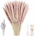LIAN 100 Pcs Natural Brown Small Pampas Grass, Dried Reeds Bouquet for Home