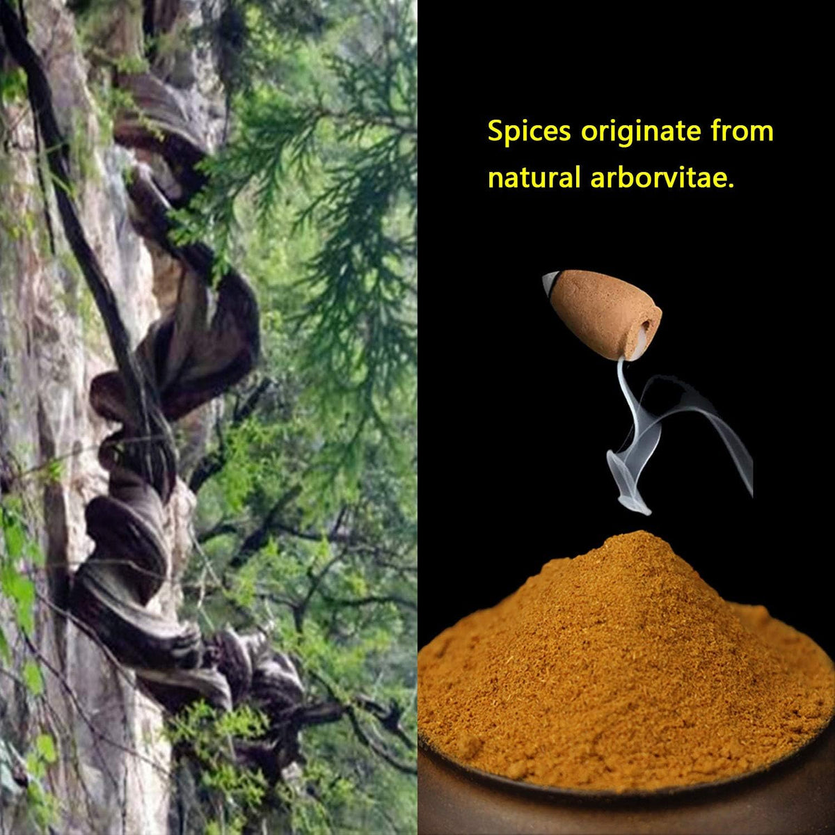450 Backflow Incense Cones 9 Natural Scents for Waterfall Burner