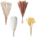 Natural Dried Pampas Grass Decor - 17.5" 75Pcs Fluffy Pampas Grass Bouquet