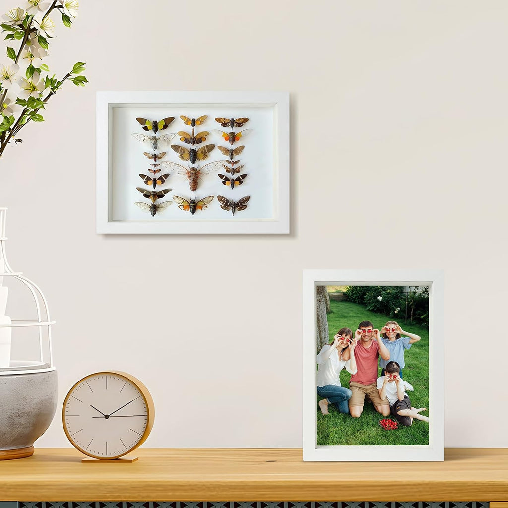 4x6 Small White Shadow Box Frame Display Case
