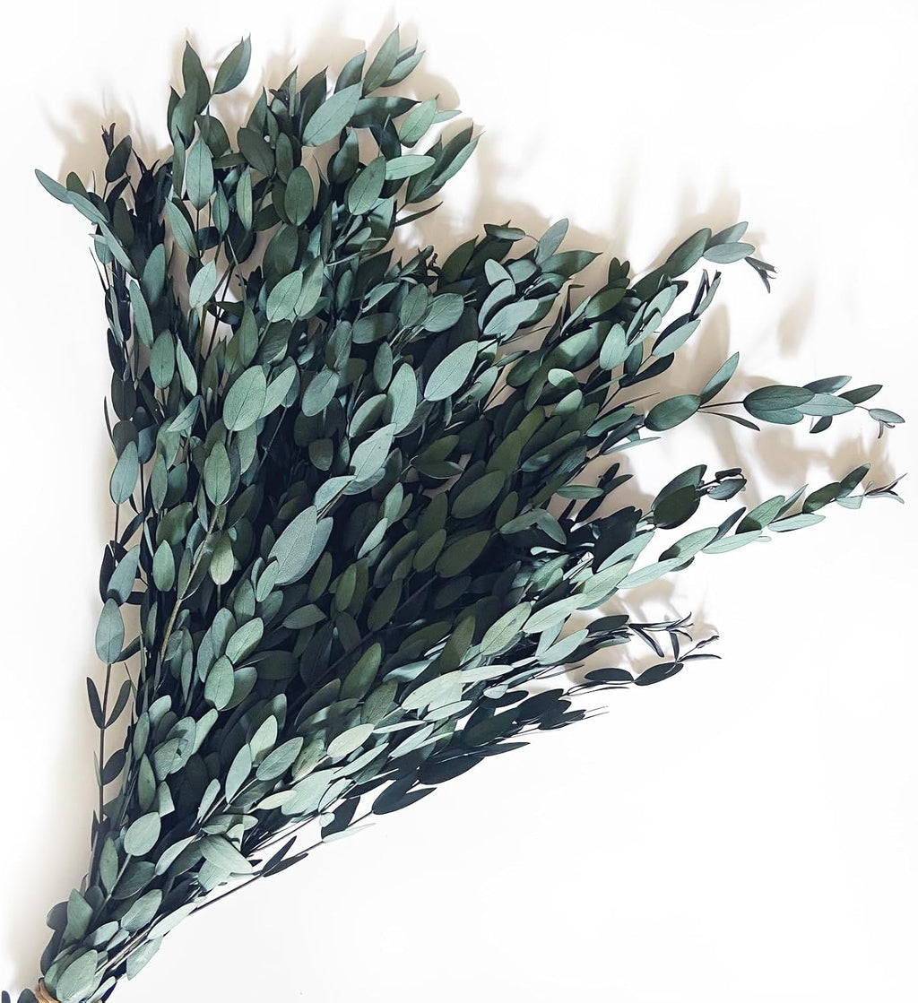 Preserved Dried Eucalyptus Greenery Stems, 20+ Pcs 16 inches Natural Long Lasting Eucalyptus Bundles for Vase Arrangements Home Decoration Photo Props Parties and Weddings, DIY Décor-Blue
