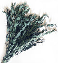 Preserved Dried Eucalyptus Greenery Stems, 20+ Pcs 16 inches Natural Long Lasting Eucalyptus Bundles for Vase Arrangements Home Decoration Photo Props Parties and Weddings, DIY Décor-Blue