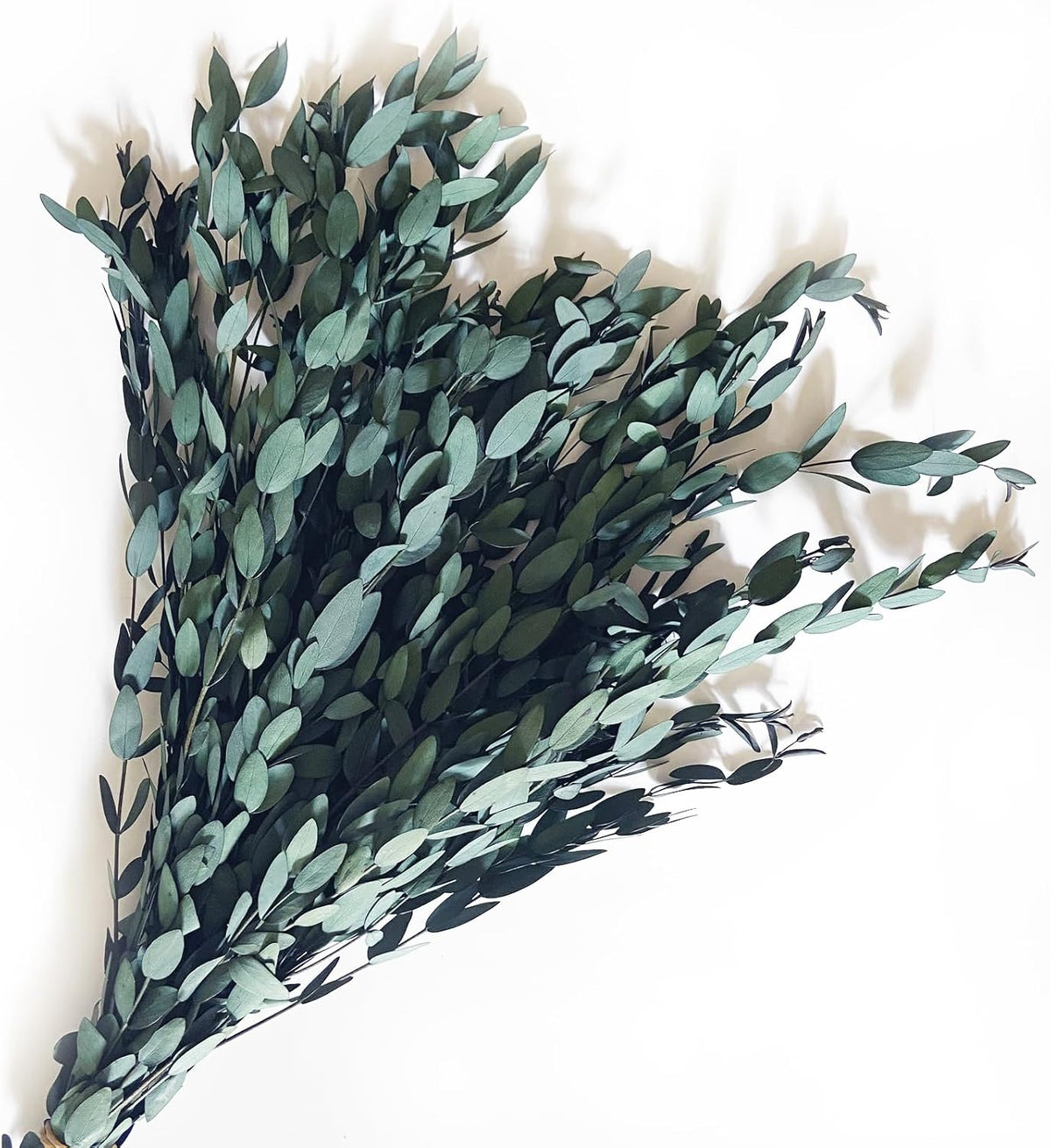 Preserved Dried Eucalyptus Greenery Stems, 20+ Pcs 16 inches Natural Long Lasting Eucalyptus Bundles for Vase Arrangements Home Decoration Photo Props Parties and Weddings, DIY Décor-Blue