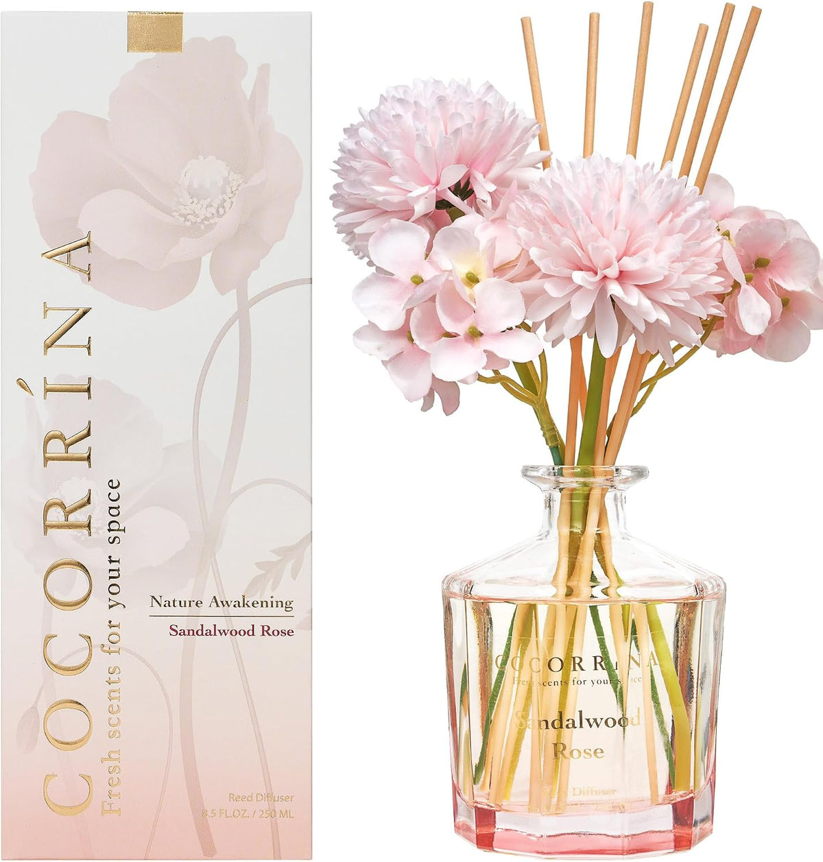 COCORRÍNA Reed Diffuser - Sandalwood Rose 8.5 Fl.oz Flower Reed Diffuser Set with 8 Sticks, Home Fragrance Reed Diffuser for Home Bedroom Office Bathroom Shelf Decor (Master Collection)