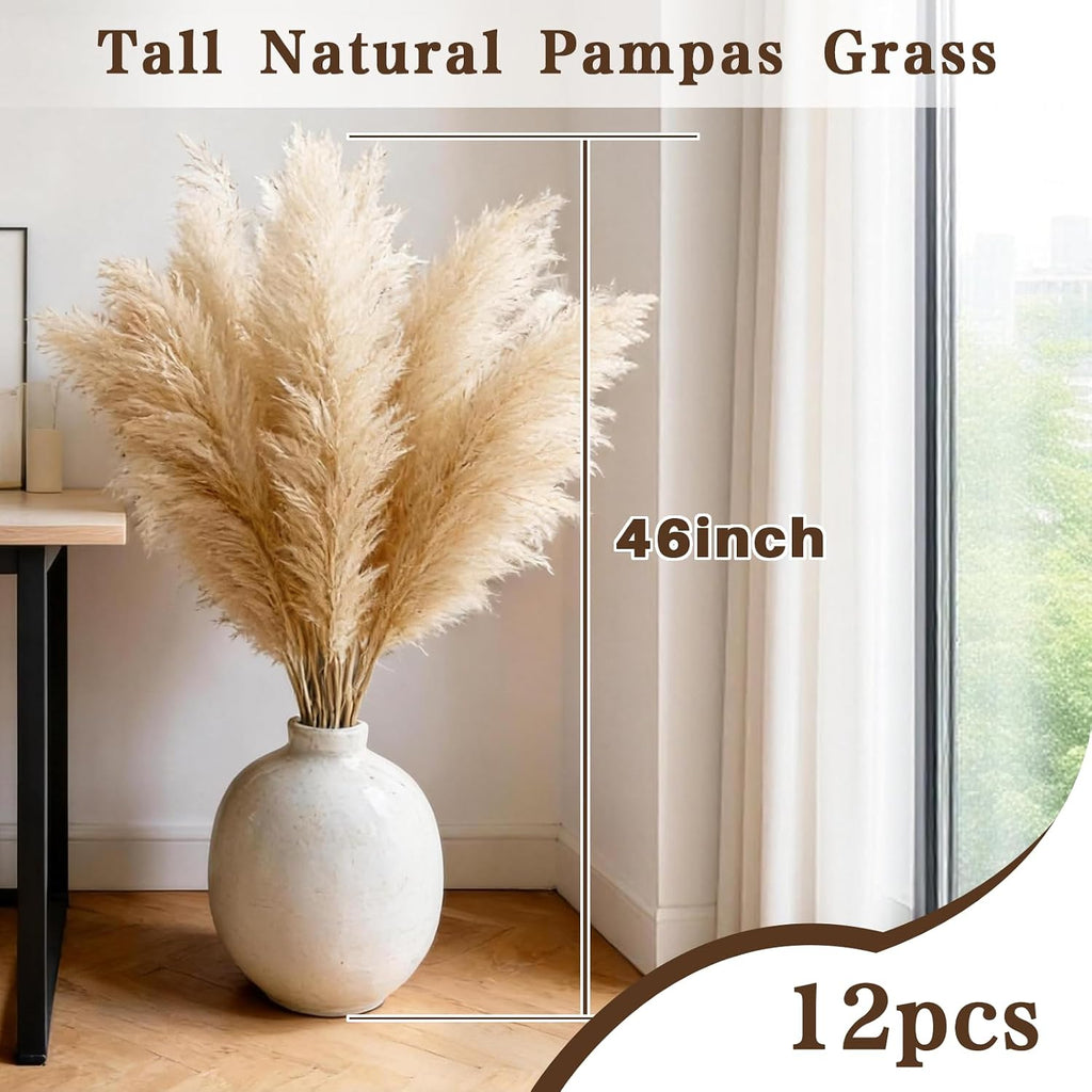 12 Stems 46" Tall Pampas Grass Decor Extra Fluffy Natural Dried Flowers