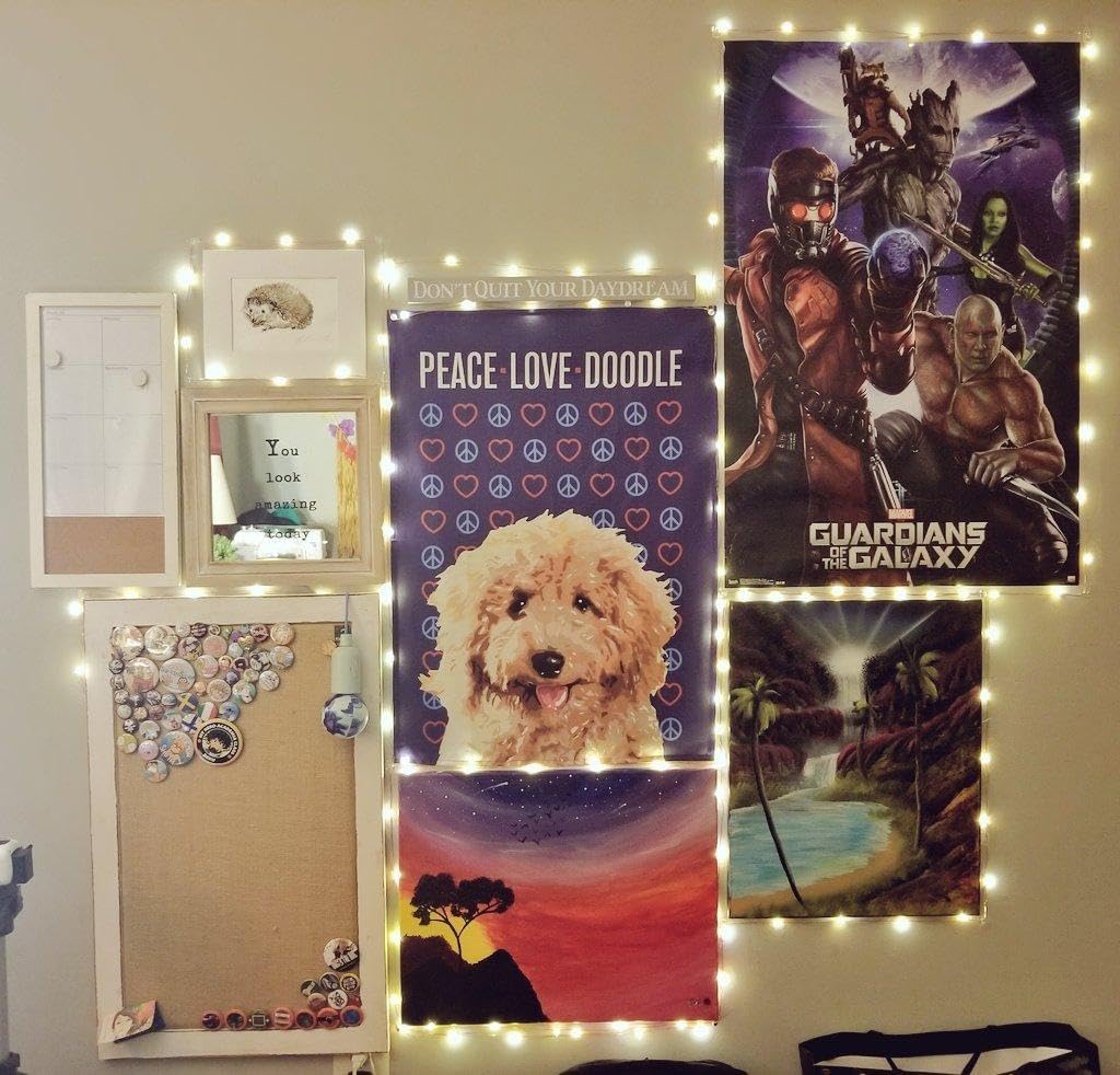 USB Fairy Lights for Bedroom, 33ft 100 LED, Remote & Timer