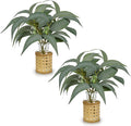 2Pcs Artificial Eucalyptus Stems in Glass Vase with Faux Water and Woven Basket 11" Fake Greenery Plant Willow Eucalyptus Leaves for Home Office Farmhouse Bedroom Kitchen Table Centerpiece Decor