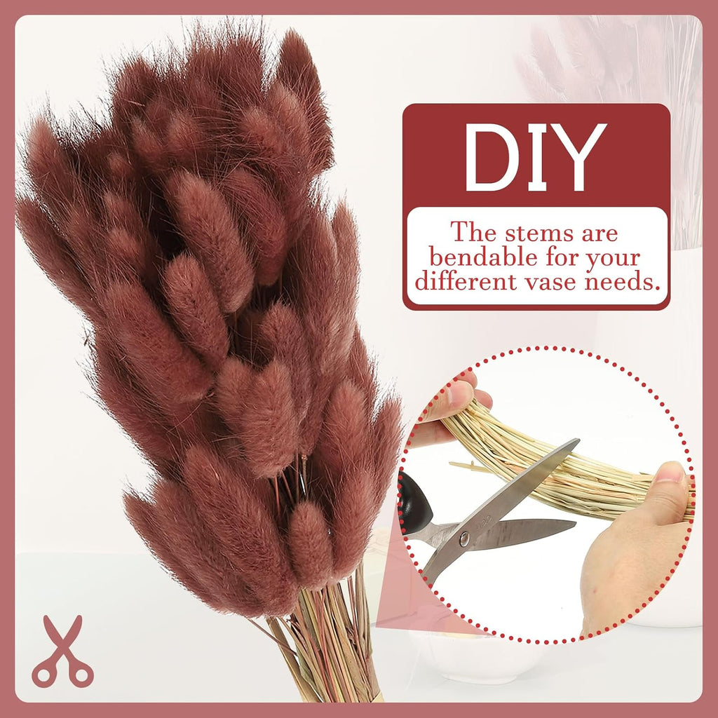 PATIKIL 15.7in Bunny Tails Dried Flowers, 150pcs Pampas Grass Decor Rabbit Tail Natural Pampas Grass Bulk Fluffy Faux Pampas Grass Dried for Home Boho Decor Vase Wedding, Brown Red