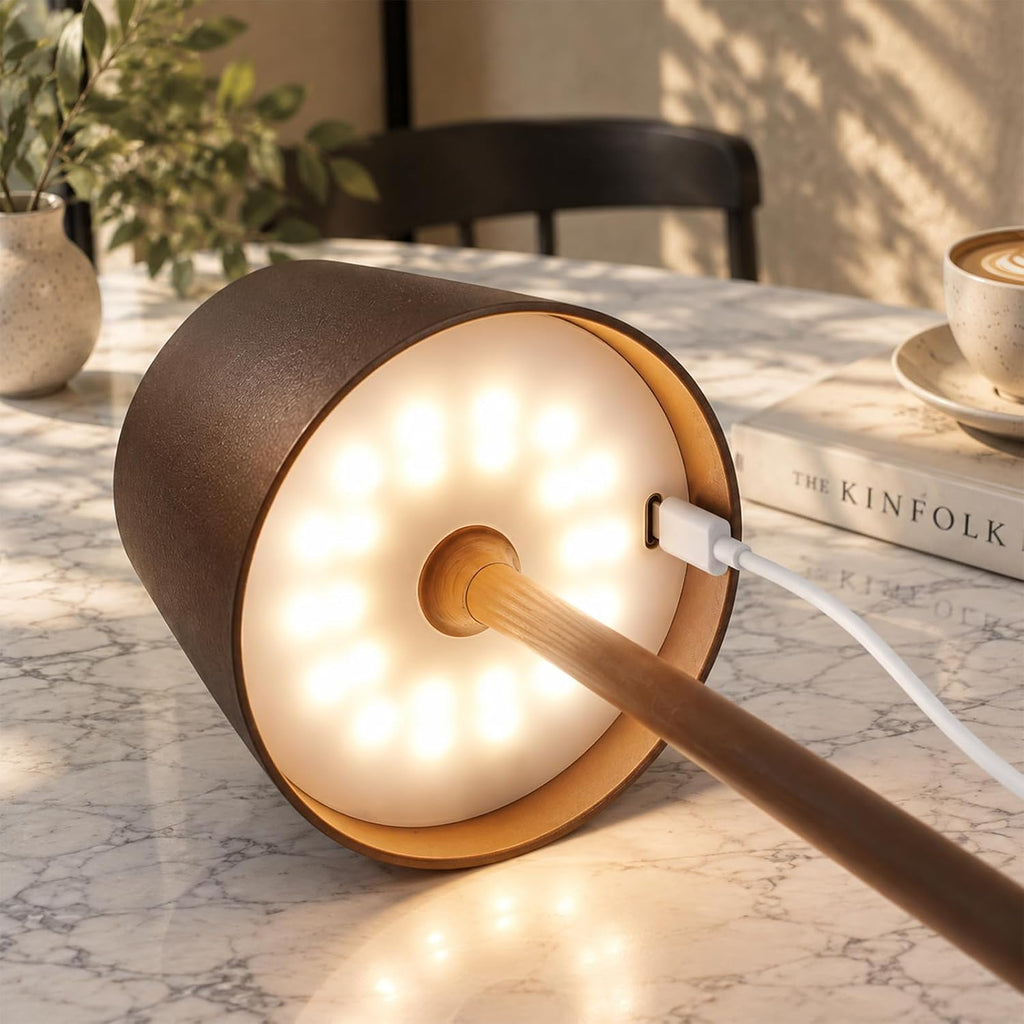 Fizrice Rechargeable Table Lamp Cordless Battery Operated, Brown 2 Pack