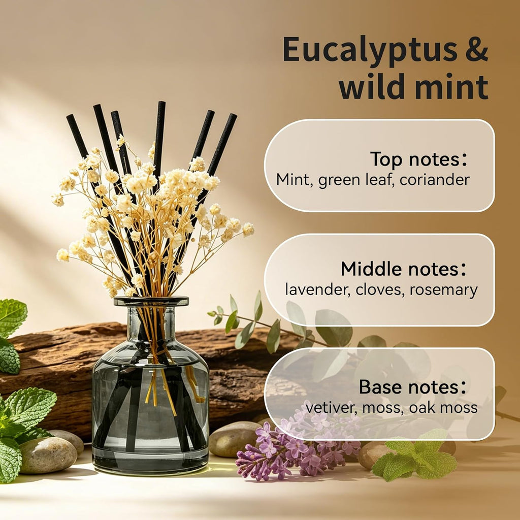 Brakula Reed Diffuser Set, Eucalyptus & Wild Mint Scent, 4.06 fl oz
