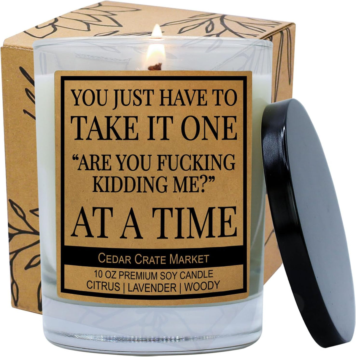 You Just Have to Take It, Funny Candles Gift for Women Friends Mom, BFF, Girlfriend, Boyfriend, Inappropriate Candles with Funny Sayings, Lavender Scented, Made in USA
