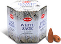 HEM White Sage Backflow Incense Cones – Pack of 40 Brown Cones | Long-Lasting Natural Aroma for Positivity, Cleansing & Meditation | Wood Powder Aromatherapy for Stress Relief & Air Purification