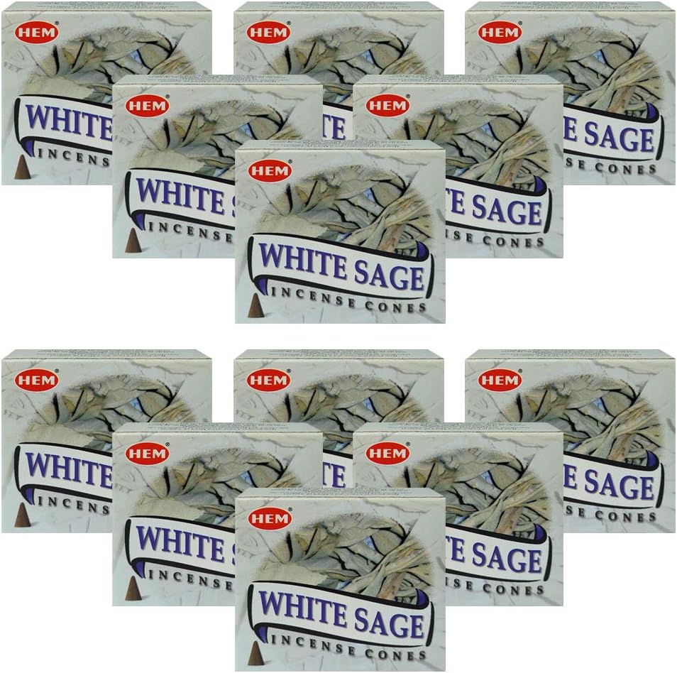 White Sage Incense Cones and Cone Incense Burner Bundle Insence Insense Hem Incense
