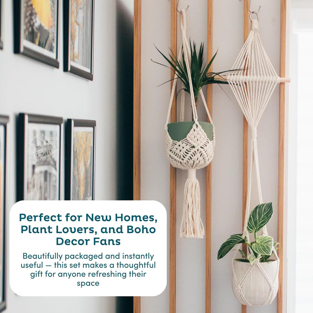 Nook Theory 4-Pack Macrame Plant Hangers with 8 Hooks - Hanging Planters for Indoor Plants, Boho Macrame Hangers Indoor Outdoor, Decorative Plant Hanger Indoor (Black)