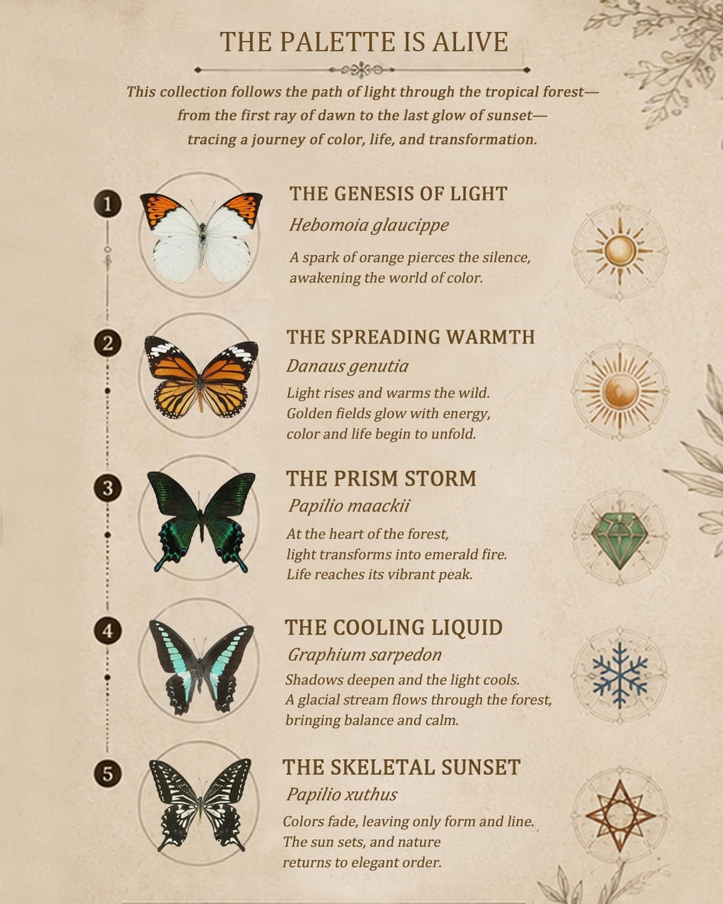 Nature's Palette 5 Real Butterfly Taxidermy Shadow Box Gift Set (10x13.4")
